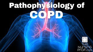 Pathophysiology of COPD [upl. by Ekeiram]