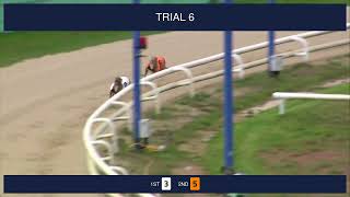 Perry Barr Trials on 18th September 2023 [upl. by Hermina]