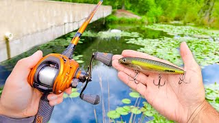 RECORD Day of TOPWATER Fishing LOADED w GIANT Bass [upl. by Tabshey572]