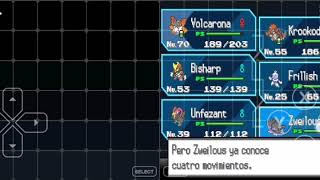 Pokemon negro zweilous evoluciona a hydreigon [upl. by Bardo]