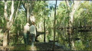 A shining light of hope  How a Riverina couple’s conservation efforts restored river red gum forest [upl. by Angelico975]