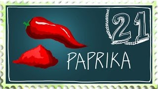 How to grow Paprika  Suburban Homestead EP21 [upl. by Oiznun553]