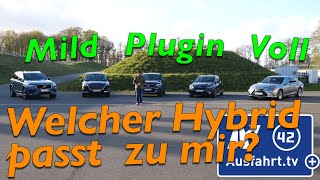 Welcher Hybrid passt zu mir Wie unterscheiden sich Mildhybrid PluginHybrid und Vollhybrid [upl. by Akinat]