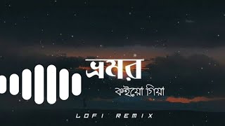 ভ্রমর কইয়ো গিয়া।Lofislowed reverbLofi song [upl. by Gerhard]