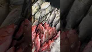 Sarisaring laman dagat food lovetocookformyfamily buhayprobinsya viralvideo viralshorts [upl. by Enelkcaj]