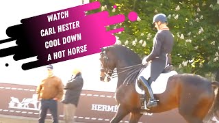 Watch Carl Hester Ride A Hot Horse In The Grand Prix Dressage Warm Up [upl. by Cuda7]