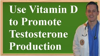 How To Use Vitamin D to Promote Testosterone Production [upl. by Elisee243]