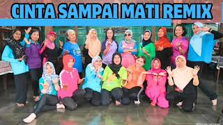 CINTA SAMPAI MATI REMIX  choreo  Fieda Andriyanti amp Annie Annoy  demo by SEBELAS DANCE INA [upl. by Aicrop]