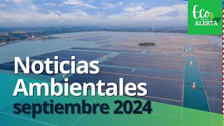 ACTUALIDAD AMBIENTAL sept 2024 [upl. by Laws]