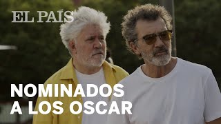 Oscar 2020 DOLOR Y GLORIA de Almodóvar y Antonio Banderas nominados a los Oscar [upl. by Ralfston875]