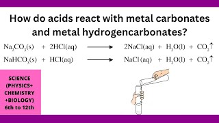 How do acids react with metal carbonates and metal hydrogen carbonates [upl. by Aicital]