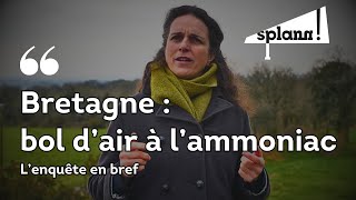 Bretagne  bol dair à lammoniac  lenquête en bref [upl. by Dickens]