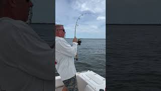 Trolling for Blue Fish in the Barnegat Bay NJ fishing fishingvideo fishingfreaks [upl. by Frederique]