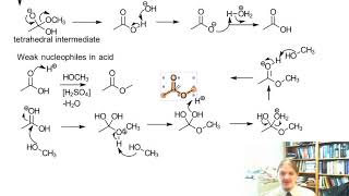 Nucleophilic Acyl Substitution Mechanisms [upl. by Federico297]