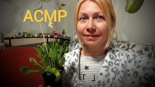 АСМР Обзор нужных покупок  Шёпот Для сна и расслабления [upl. by Mariska244]