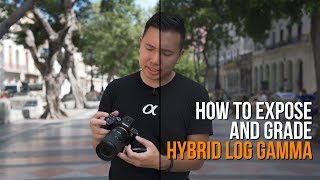 How I Expose amp Color Grade Sony Hybrid Log Gamma HLG  My FAVORITE a7III a7RIII Picture Profile [upl. by Shieh596]