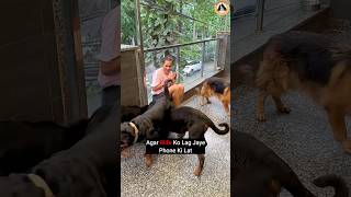 Aaj Sikhaya Rottweiler Bubzee Ne Mummy Ko Sabak Seedha Kiya Attack shorts rottweiler dogs trend [upl. by Forsta]