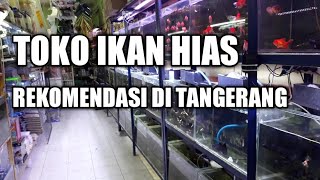 Toko ikan hias rekomendasi di tangerang RSVLOG16 [upl. by Llehcsreh]