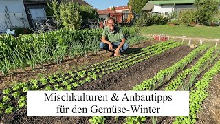 Der ideale WINTERGEMÜSEGUIDE 🥬 Mischkulturen Anbautipps Düngung amp Bewässerung im Überblick [upl. by Gilder]