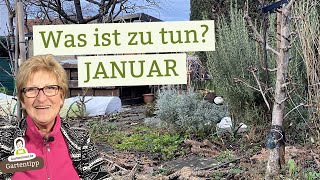 Deine Aufgabenliste für den Gartenmonat Januar [upl. by Dyal]