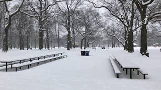 4K Toronto  High Park in Winter [upl. by Keemahs]