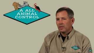 Start a Nuisance Wildlife Control Business [upl. by Iahs]