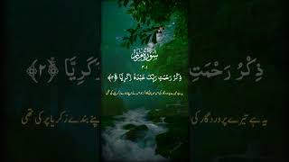 quotSurah Maryam 1914  The Story of Hazrat Zakariya علیہ اسلام Prayer for a Childquotislamicvideo [upl. by Whitcomb63]