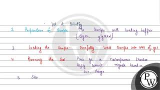 Explain the different steps carried out in gel electrophoresis technique [upl. by Htnnek496]