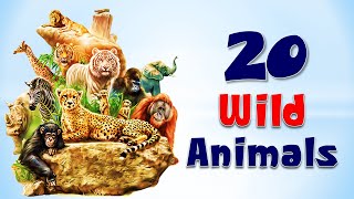 Wild animals  names of 20 wild animals  wild animals names  Amazing Kids [upl. by Elephus]