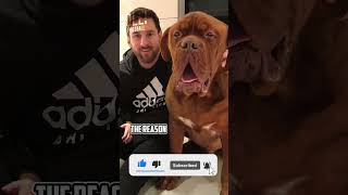 Where is Lionel Messis Dog 🐕⚽ football shorts [upl. by Gilges257]