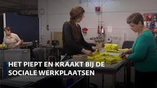 OostEuropese uitzendkrachten bij sociale werkbedrijven [upl. by Lennaj418]