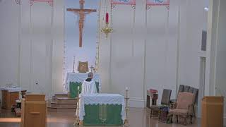 June 21 2024 at 0800 am Catholic Mass from St Philip Vacherie LA [upl. by Yemrots]