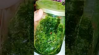 Coriander Chutney Recipe  Easy and Quick Green Chutney  Green Chutney  kabitaskitchen hams food [upl. by Ajnin]