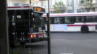 Summer Buses2007 TTC Orion VII Diesel Video collections [upl. by Enisaj]