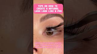 Tips on how to create a natural lash look like a pro💓💓 fadlash lashclusters diylashes [upl. by Elna]