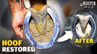 4K FARRIER ASMR  Satisfying Full Horse Hoof Restoration [upl. by Demetria768]