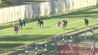 Capalaba17072024Race5 [upl. by Nnarefinnej560]