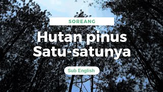 TIDAK BANYAK ORANG TAHU😱TERNYATA SOREANG PUNYA HUTAN PINUS😍 [upl. by Rossi]