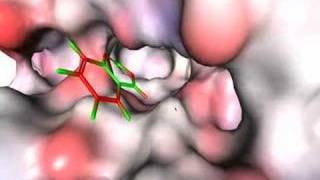 Zodiac molecular modeling [upl. by Akayas178]