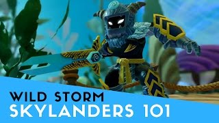 Skylanders 101 WILD STORM [upl. by Yseult]