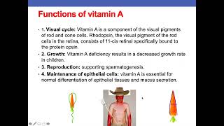 Vitamins and Coenzymes  Hania Nizami [upl. by Dulcle]