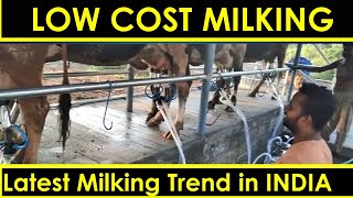 Low cost milk parlor in India Latest low cost Milking parlour Trend 9042471010 Milking cows [upl. by Assened691]