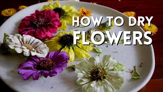 Drying Flowers Using Silica Gel Crystals  Quick amp Easy Way to Preserve Flowers [upl. by Nylkaj]