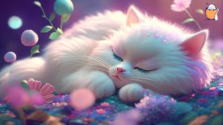 Music for Nervous Cats  Soothing Sleep Music Deep Relaxation Music  Sleepy Cat [upl. by Atina612]