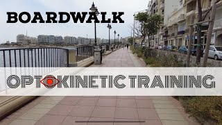 Advanced Vestibular Exercise Boardwalk [upl. by Novehs]