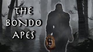 The Theory Of The Bondo Apes [upl. by Meredi]