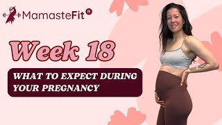 Week 18 What to Expect During Your Pregnancy  Ginas Pregnancy Journey [upl. by Enaz]