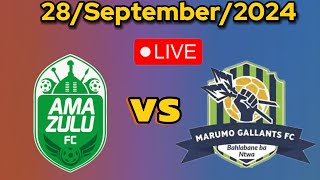 Amazulu fc vs Marumo Gallants Live Football Match Today  South Africa Premier League [upl. by Abbub465]