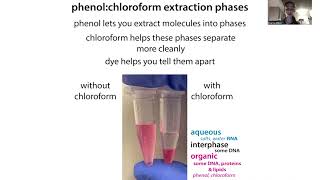 RNA extraction by trizol method [upl. by Arramas335]