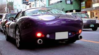 TVR Tuscan Speed6  Sound [upl. by Eirret983]